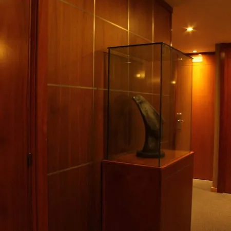 Hotel Evenia Rossello 4*